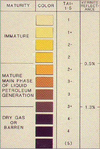 Fig. 6.2 - Philips Petroleum Colour Standard versão nº2, 1984 (Fernandes, 2000).