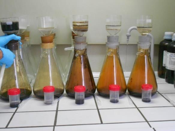 Fig.3.8 Oxidação das amostras que se encontravam com um estado de incarbonização elevado. Fig. 3.