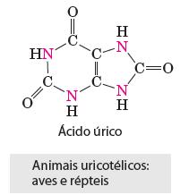 Metabolismo do Nitrogênio Nitrogênio: para ser utilizado pelos animais, ele precisa ser fixado -