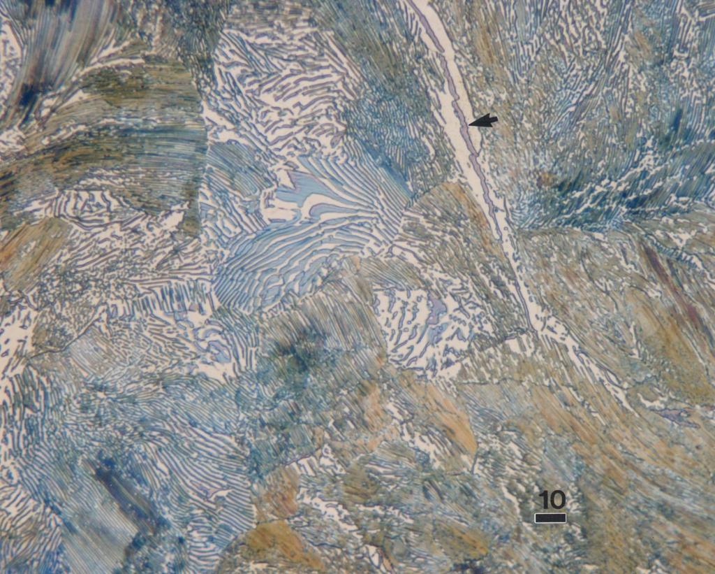 Microstructure of as-rolled Fe 1% C binary alloy tint etched with Beraha s sodium molybdate reagent to color cementite.