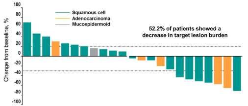 (5/17 pts) - Adenocarcinoma: 40% (2/5 pts) -