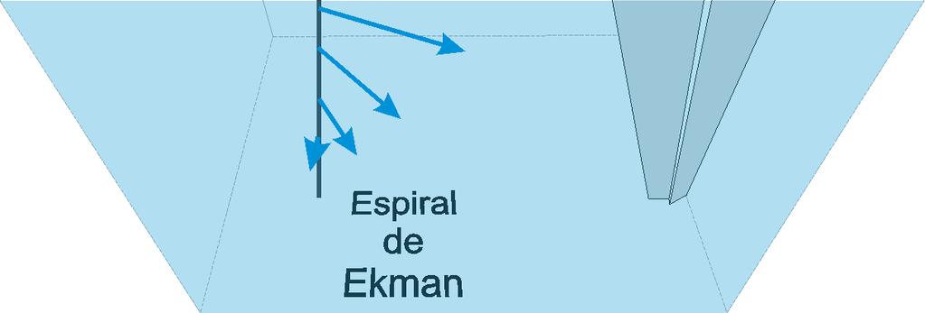 também pequenos desvios no ângulo do sentido da lâmina acima, esse processo é conhecido como espiral de Ekman (Figura 6) e é capaz de deslocar até mais de 100 metros da coluna d água (SOARES-GOMES e