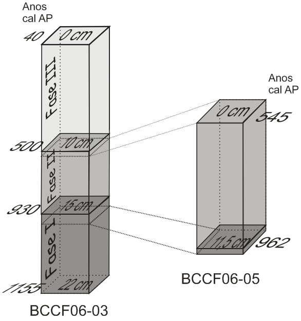 Figura 15: Variação do teor de carbono orgânico total (COT) e fluxo de COT ao longo dos box-cores BCCF06-03 (A) e BCCF06-05 (B).