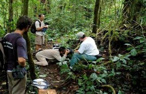 vindo a realizar importantes estudos sobre o impacto de captura de papagaios cinzentos e a sua monitorização na Ilha do Príncipe