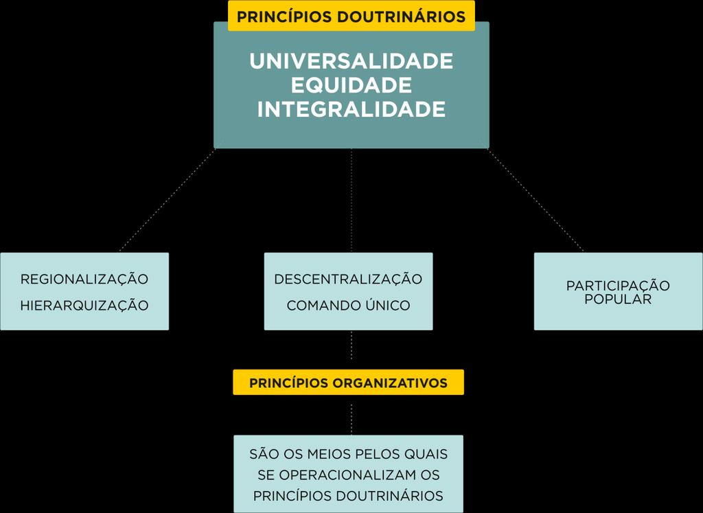 IX - Descentralização político-administrativa, com direção única em cada esfera de governo: a) ênfase na descentralização dos serviços para os municípios; b) regionalização e hierarquização da rede