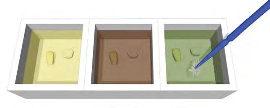 57 Figura 5 Esquema em 3D demonstrando a imersão das amostras de esmalte e dentina nas soluções dos agentes antioxidantes: ascorbato de sódio (solução amarela), catalase (solução marrom) e peroxidase