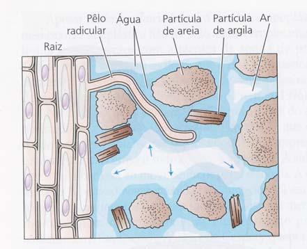 No solo a água se mobiliza principalmente por potencial de pressão ou pressão hidrostática desprezível desprezível: concentrações de