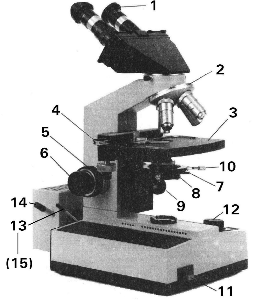 Microscópio óptico 1 = ocular 2 = objetivas e revólver 3 = platina 4 = charriot 5 = macrométrico 6 = micrométrico 7 = diafragma no condensador 8 = condensador 9 = botão do condensador 10