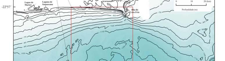 amostras existentes nos Bancos de Dados Oceanográficos (BNDO) e do PGGM (Programa de Geologia e Geofísica Marinhas), com o propósito de verificar as inter-relações entre a morfologia, os tipos de