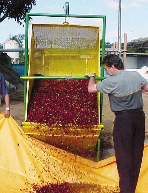 Em ambos os lavadores, o segundo depósito é basculante e construído com chapa perfurada, que serve para reter o café pesado.