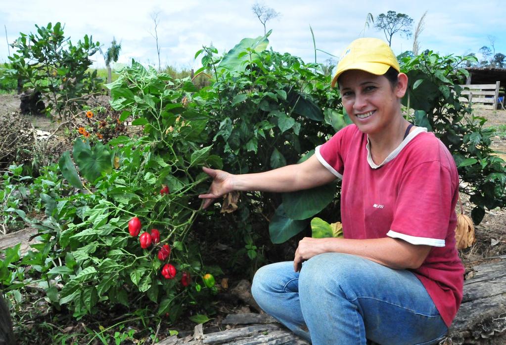 ANO INTERNACIONAL DA AGRICULTURA FAMILIAR No Ano Internacional da Agricultura Familiar, o projeto Semeando Sustentabilidade celebra boas práticas junto aos pequenos produtores rurais de Itapuã do