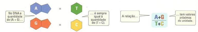 Rosalind Franklin ioneira da biologia molecular que utilizando a técnica da difração dos raios-x, concluiu que o DNA