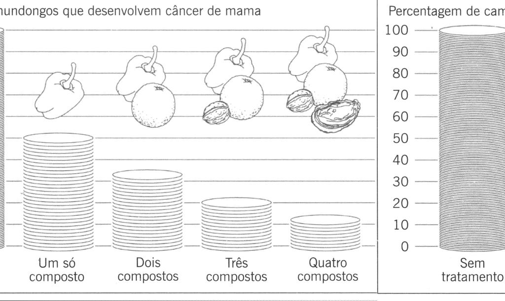 FIGURA 4 A navegação das células de vasos é um mecanismo essencial à angiogênese.