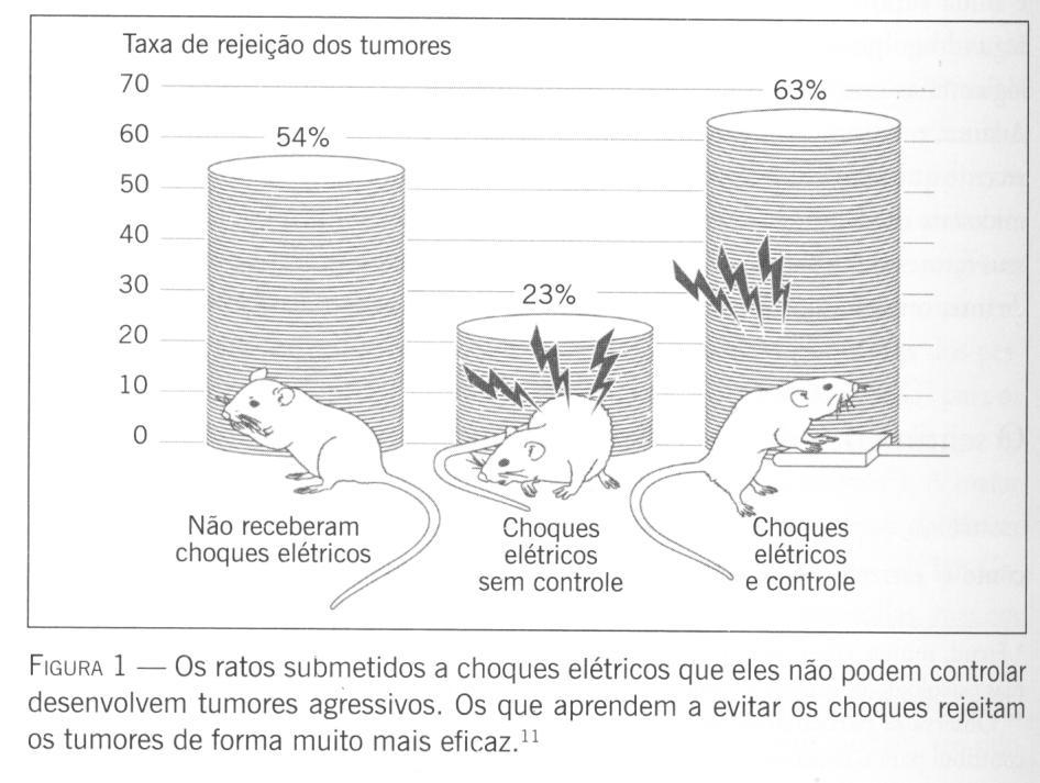 pág