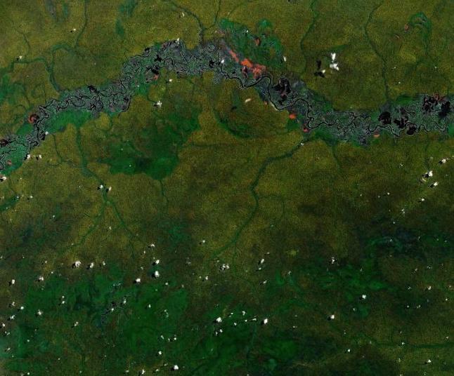 Heterogeneidade Espacial Amazonas Rondônia Manchas de hábitat de diferente qualidade Boa qualidade: alto sucesso reprodutivo ou sobrevivência Baixa