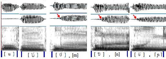 125 FIGURA 32: OSCILOGRAMAS DO MICROFONE ORAL E DO PIEZOELÉTRICO E ESPECTROGRAMA DE BANDA LARGA DA VOGAL ALTA POSTERIOR PRÉ-TÔNICA [U] ORAL, NASAL, NASALIZADA POR [m], [n] E [ɲ].