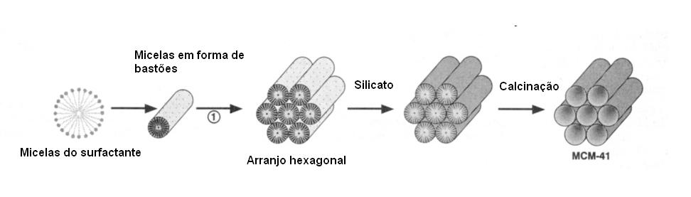 Numa segunda etapa desta primeira proposta de mecanismo, ocorre o ordenamento hexagonal dos bastões, produzindo uma estrutura cristalina líquida de forma hexagonal.