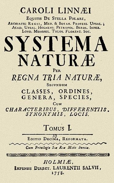 Carolus Linnaeus (1707-1778) Considerado o PAI DA TAXONOMIA MODERNA De acordo com Linnaeus os