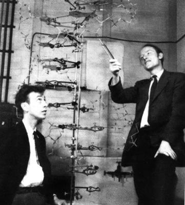 jovens cientistas, James Watson e Francis Crick,