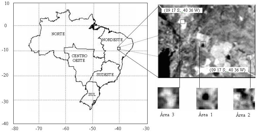 JUAREZ DANTAS DE SOUZA e BERNARDO BARBOSA DA SILVA 355 Tabela 1 Comparação de resultados com Qin et al. (2001). Ts ( C) Ta ( C) Estimada Tb( C) Simulada Transmitância Emitância Ts estimada QIN et al.