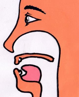 Tongue is placed at the center of the mouth. A língua está no centro da boca. Tongue should move upwards.