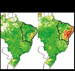 A caatinga vem sida bastante desmatada, a lenha nativa existente na caatinga vem sido explorada de forma ilegal e insustentável, isso vem ocorrendo por fins domésticos (como fazer moveis) e