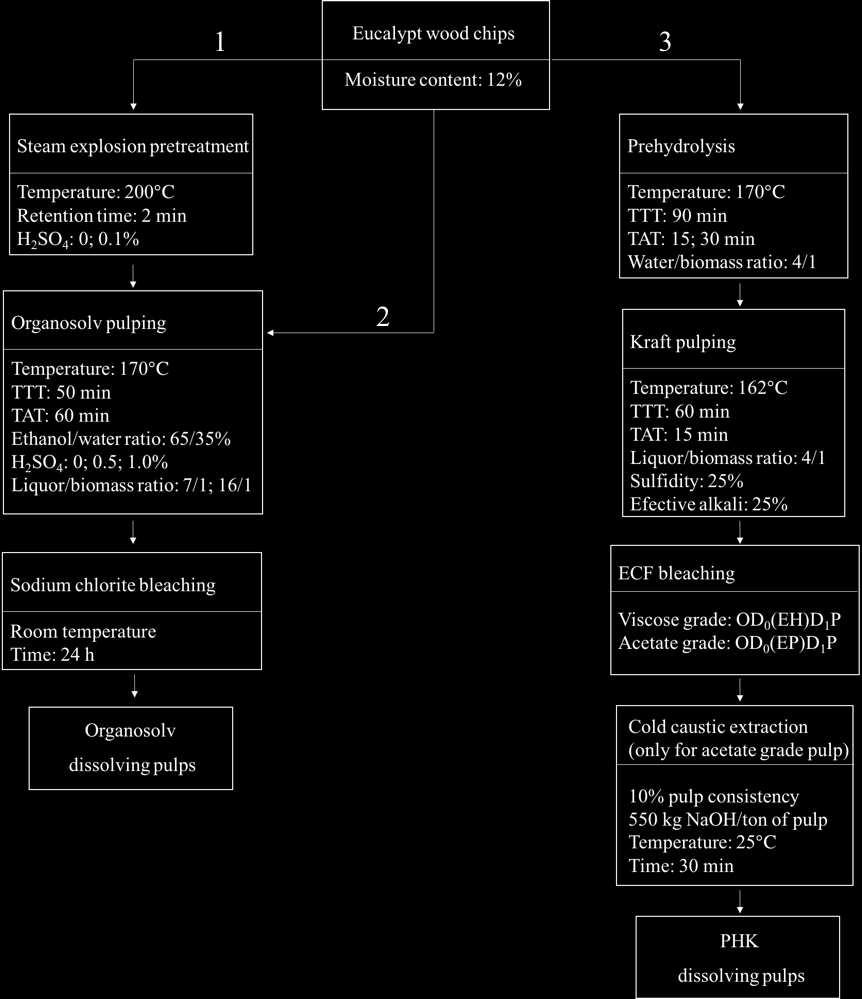 Figure 1. Work plan showing all steps involved in the production of dissolving pulp by the SE-organosolv and PHK processes.