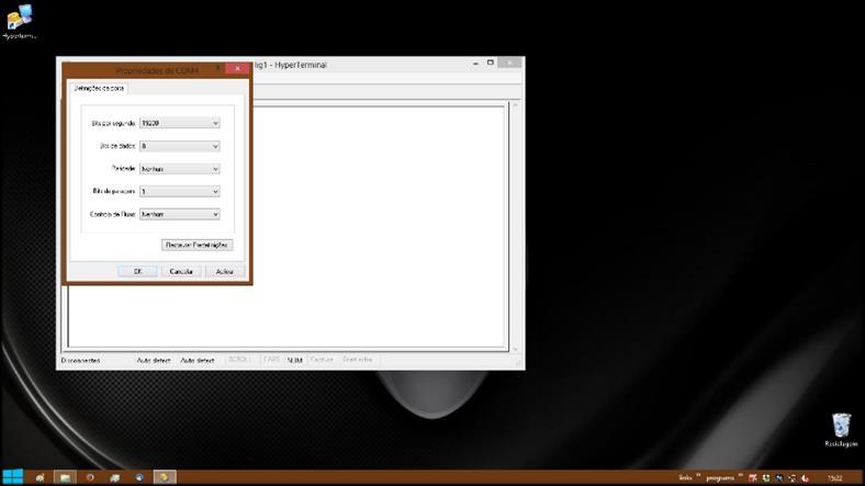 Por último é necessário configurar a porta COM com as mesmas definições de que o osciloscópio; é necessário definir a taxa de transmissão de dados (Baud Rate) neste caso