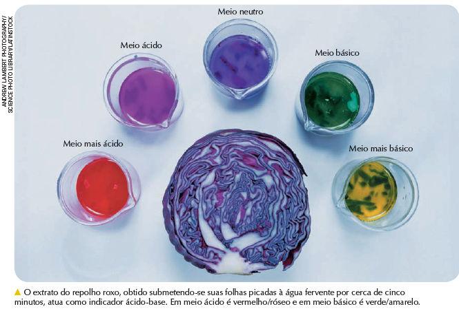 Indicadores ácido-base e produtos cotidianos Por meio do uso de indicadores ácido-base,