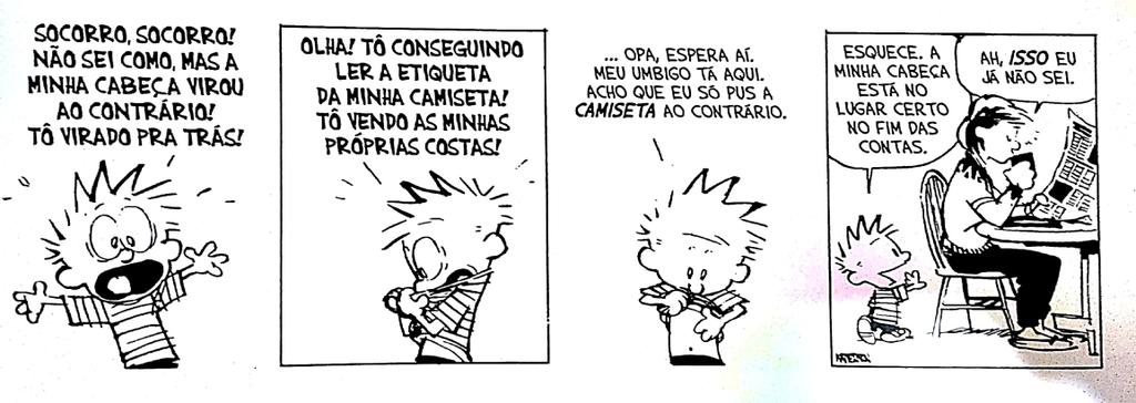 (In: WATTERSON, B. Os dias estão todos ocupados: as aventuras de Cavin e Haroldo. São Paulo: Conrad, 2011.) 11 A resolução da breve narrativa de Bill Watterson ocorre em qual dos quadros da tira?