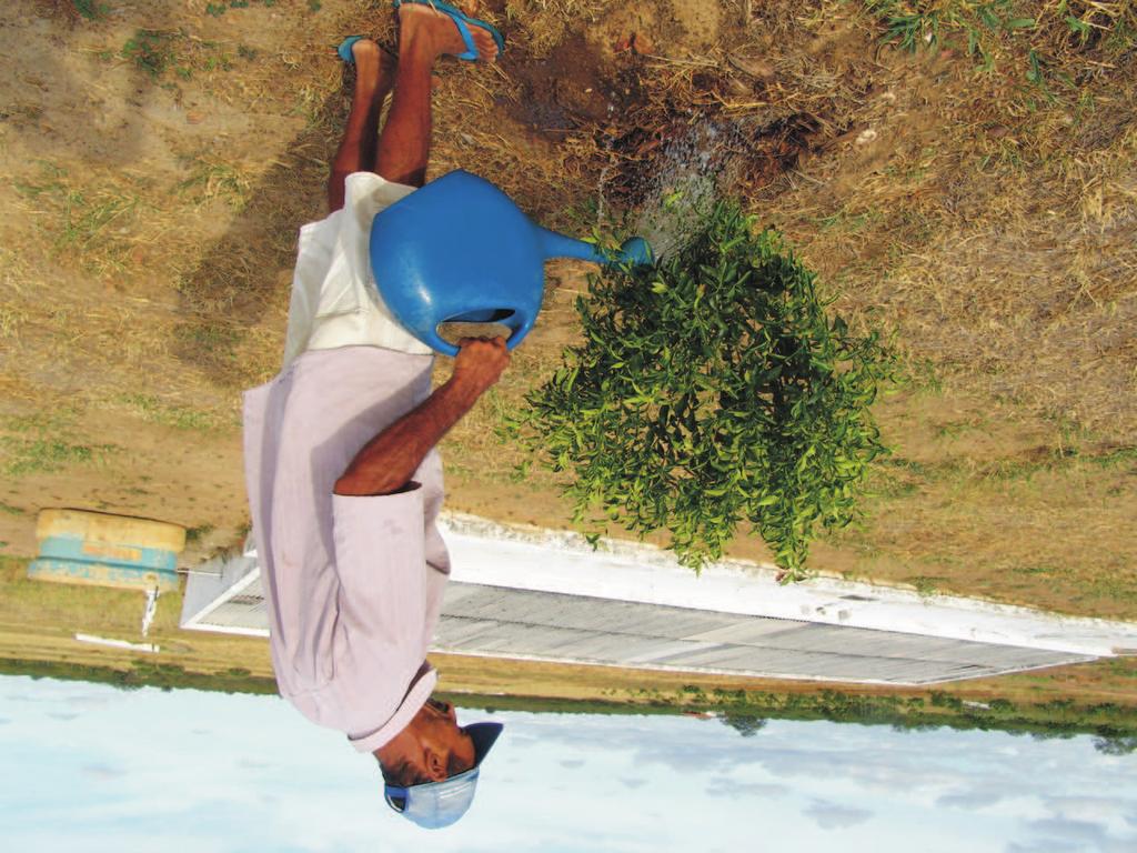 14 Água de chuva armazenada em cisterna para produção de frutas e hortaliças Formas de aplicação de água A aplicação de água nas fruteiras é feita de três