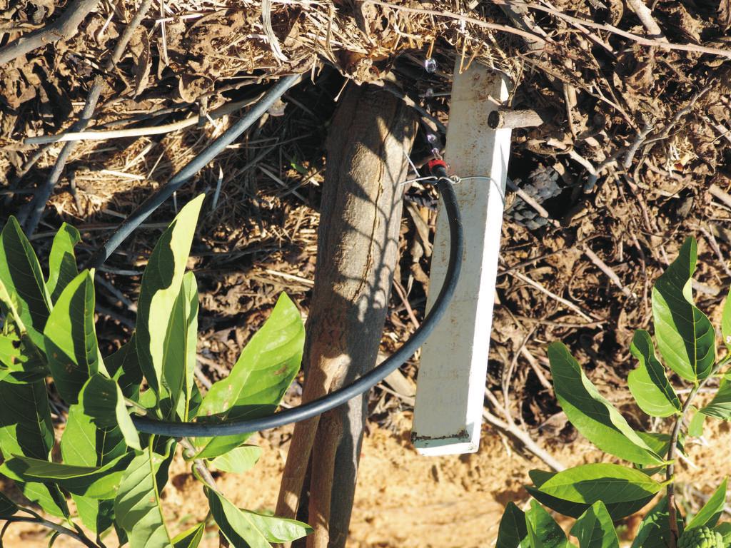 Quando a pressão da água na cisterna não é suficiente para atingir toda área, a água é bombeada por meio de bomba manual para uma caixa elevatória e, por