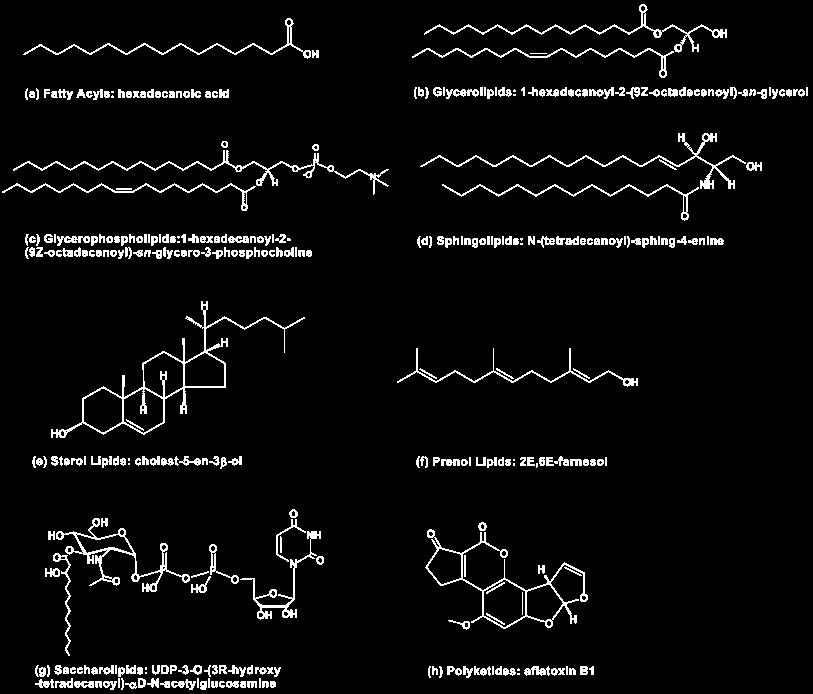 LABORATÓRIO 2: ANÁLISE DE LIPÍDEOS I. Fundamentos Lipídeos em amostras biológicas Os lipídeos constituem uma classe heterogênea de moléculas que tem em comum o fato de serem pouco solúveis em água.