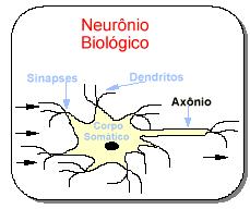 Redes Neurais: neurônio biológico O neurônio biológico é entendido como sendo basicamente o dispositivo elementar do sistema nervoso, que possuía muitas entradas e