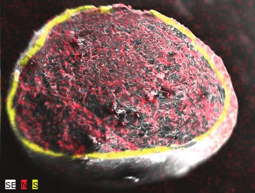 Eletromicrografia por microscopia eletrônica de varredura (mev) de grânulos de ureia com diferentes revestimentos com polímeros. Figura 10.