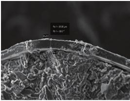 fertilizantes pode ocorrer deterioração dos grânulos (DEtriCK, 1997; liu et al., 2008).