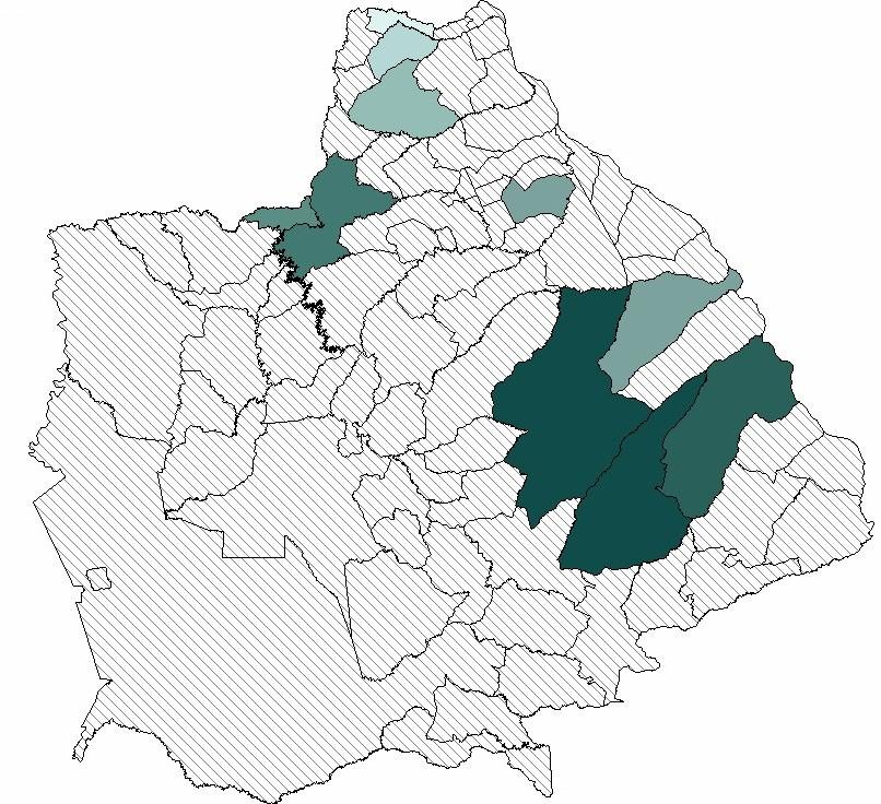 Florestas Plantadas 2008: 250 mil ha Previsão de Plantio 2009: + 25 mil ha (91% Eucalipto, 9% Pinus) Exportação Produtos Florestais 2008: R$ 25,65 milhões (99,5% papel e celulose) 35 30 Comparativo