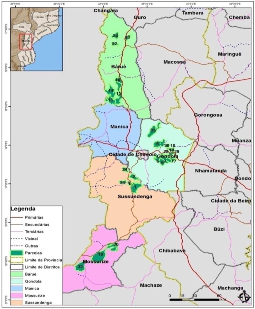 Dacata). A plantação florestal maior localizar-se-á em Gondola (57, 000 ha), seguido do Distrito de Moussurize (43, 000 ha) e Báruè (24,000 ha).