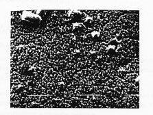 18 Figura 14 Micrografia eletrônica de varredura de filme de hidrofluorborato de esmeraldina sintetizada eletroquimicamente