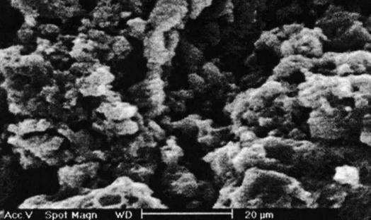 19 Figura 16 Micrografia eletrônica de varredura da PAni sintetizada em HCl na ausência de agentes dopantes [48] Em estudos de dopagem da PAni, resultados positivos foram obtidos pela adição do ácido