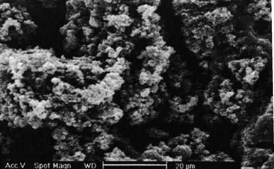 Figura 17 Micrografia eletrônica de varredura da PAni sintetizada em HCl na presença do agente dopante ANT [48] No caso particular da PAni em presença de ANT, há formação de agregados regulares que