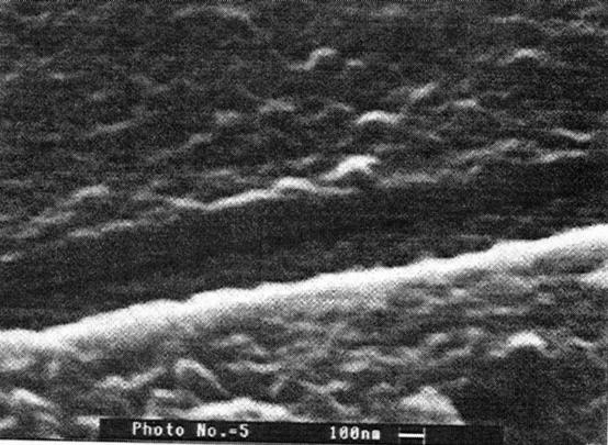 47 fica em torno de 0,2 µm, quando medido na imagem obtida por MEV, Figura 46, com aderência de 100% para a norma DIN 53151 e grau Gr 0 para a ABNT NBR 11003/1990.