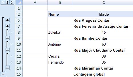 listagem. - Botão 2: visão gerencial, mostra somente o total de cada registro (cada endereço neste exemplo).