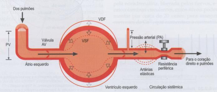 oferecem resistência à circulação do sangue (RP) e funcionam como um