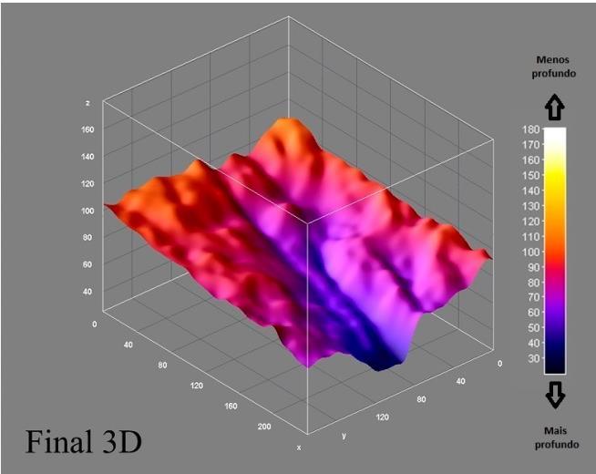 eficácia percebida (n = 11).