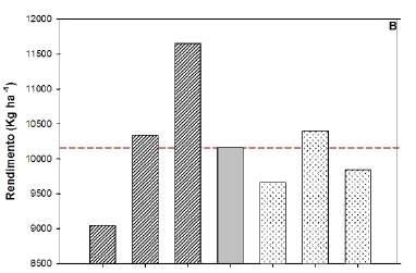 preventiva (48 horas antes da inoculação) e curativa (48 horas depois da inoculação) de fungicidas no espigamento do milho.