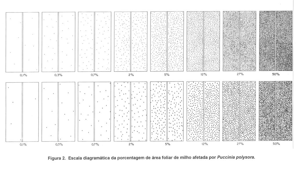 ESCALA DIAGRAMÁTICA Severidade da ferrugem