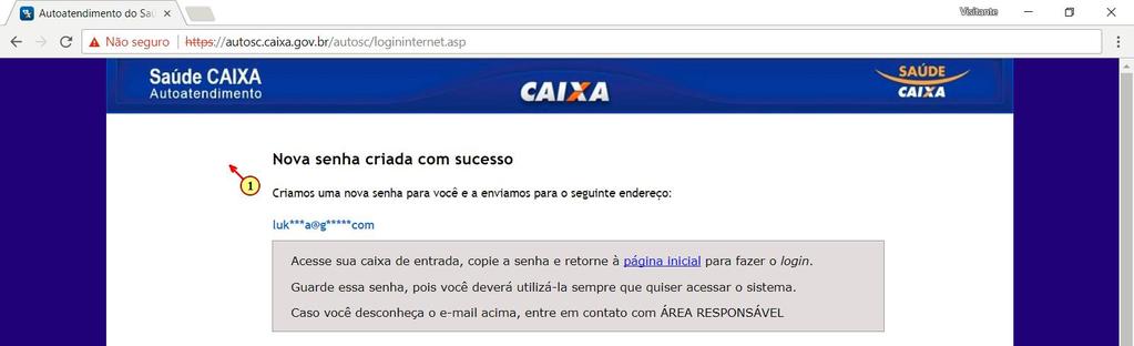 Copie a senha enviada para seu email.