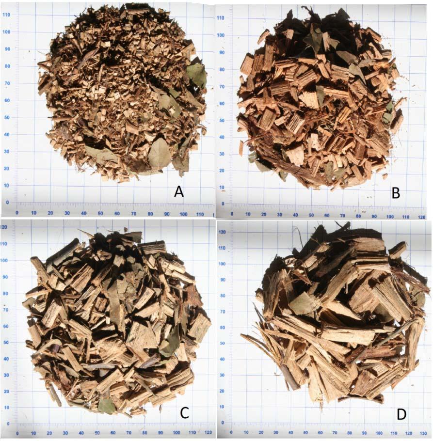 Figura 1.Cavacos A) 3 mm, B) 10 mm, C) 15 mm e D) 30 mm. Figure 1.Chips A) 3 mm, B) 10 mm, C) 15 mm and D) 30 mm.
