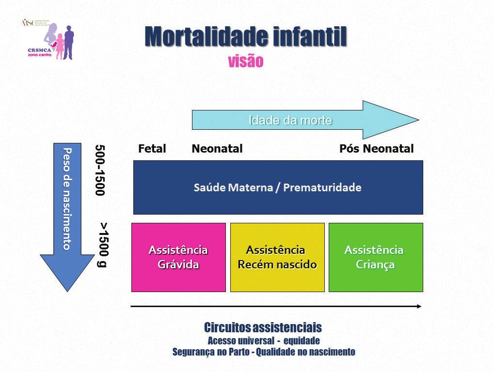 26 JOSÉ CARLOS PEIXOTO Figura 4. Intervenções necessárias para consolidar a baixa sustentada da Mortalidade Infantil. Figura 5. Organização dos Circuitos Assistenciais. 2.2.2 Implementação do PNSMI